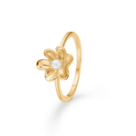Goldringe