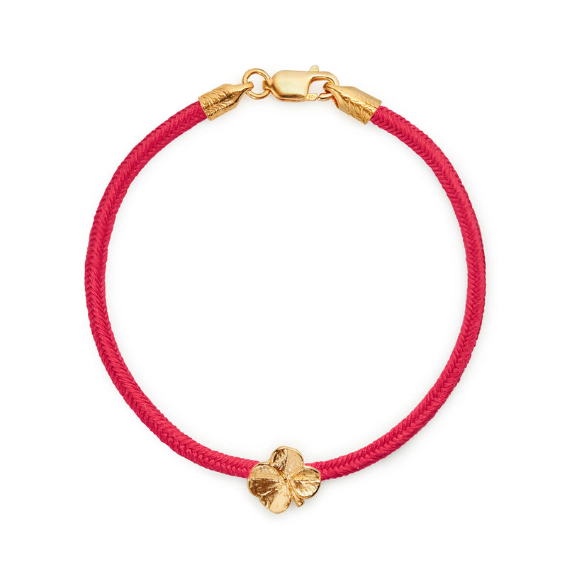 Flora Danica firkløver Silk Bracle Coral Red
