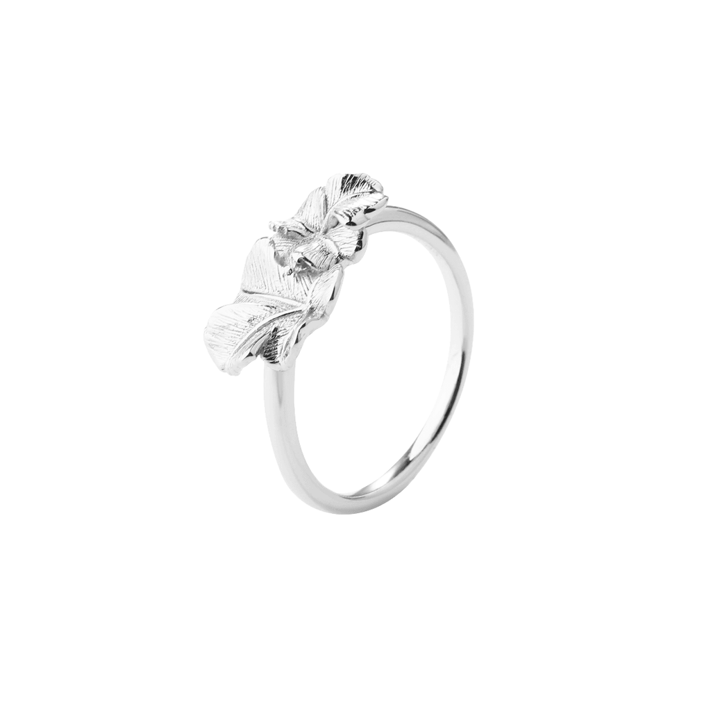 Aqua Dulce Folio Sølv Ring - Ringe - 6191-001