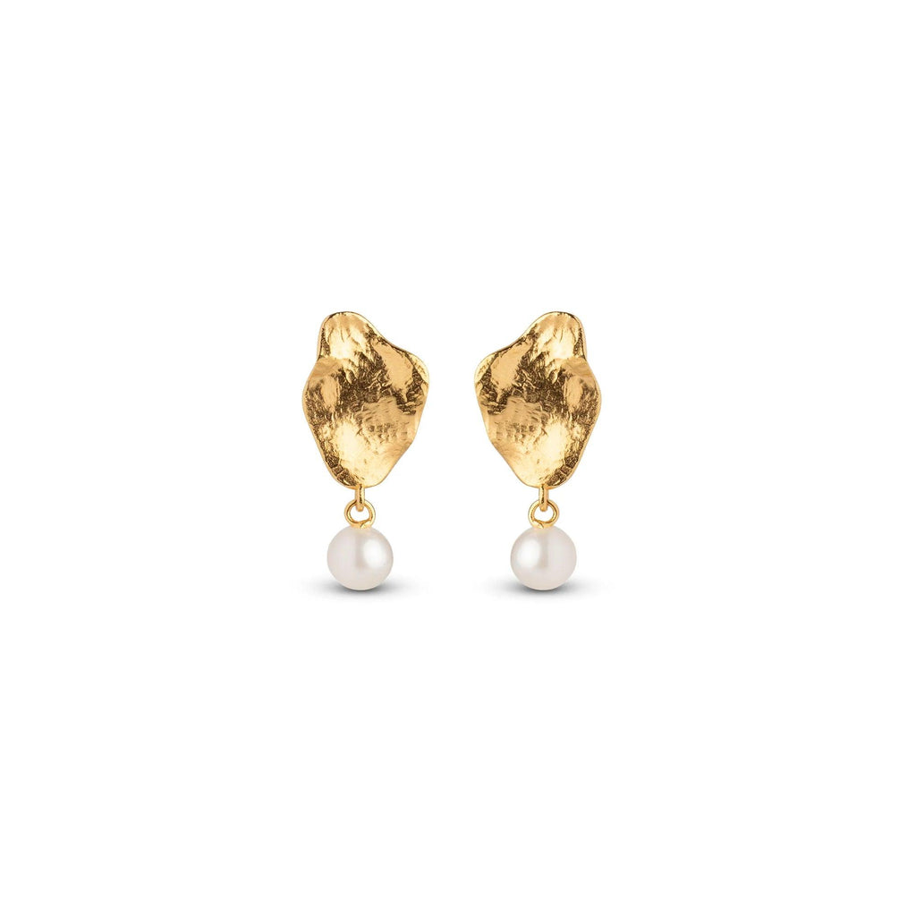 Enamel Caia Small Earrings - E374GM - Øreringe - E374GM