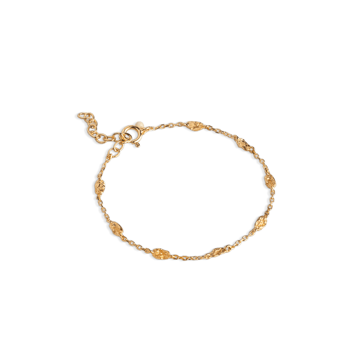 Enamel Kia-Armband aus vergoldetem Silber mit feinen ovalen Details in Gold, elegante Kette. Modell B124GM-B124GM-1.