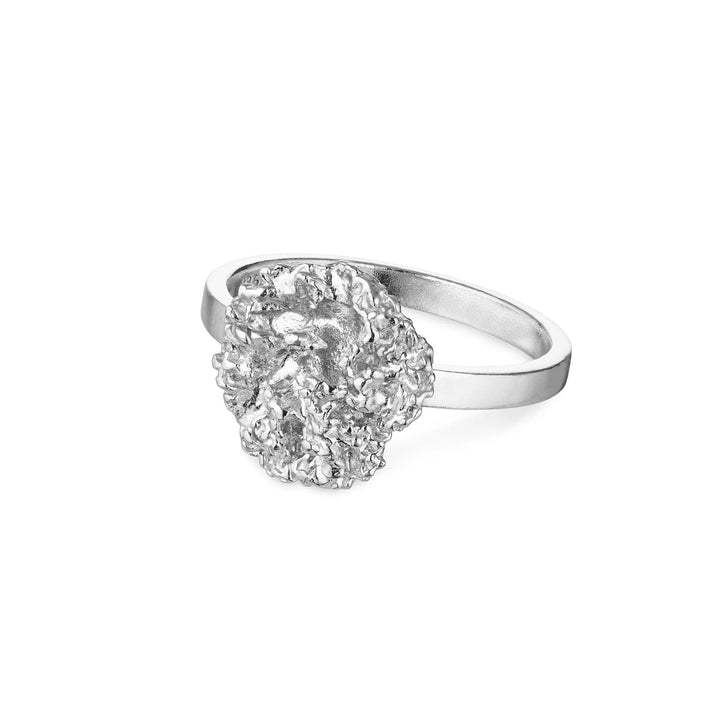 Flora Danica Parsley Ring Silver zeigt einen detaillierten Silberring mit organischem Petersilienmotiv, Modell 907-par-ri-s-001-1.