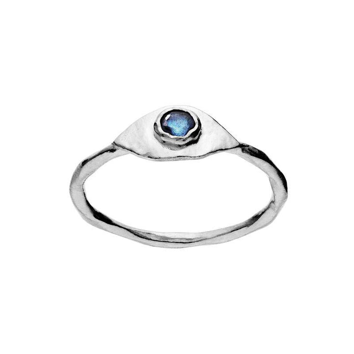 Maanesten Argos Ring aus Silber mit blauen Steinen, elegantes und organisches Design. Modell 4809c-4809c-002