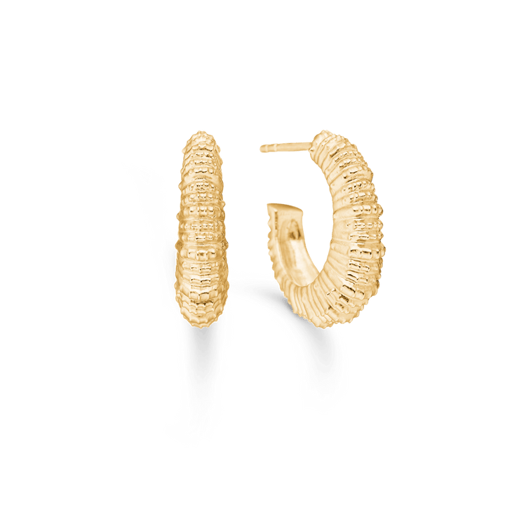 Studio Z Seashell Secrets vergoldete Ohrringe in einem großen, runden Modell mit gewellter Oberfläche. Modell 7210908