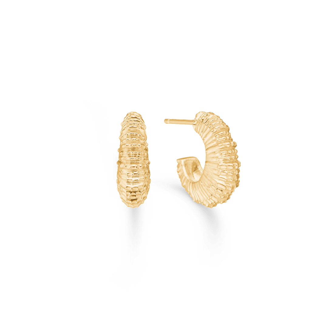 Studio Z Seashell Secrets vergoldete Ohrringe im gewellten Muscheldesign, Modell 7210907-1.