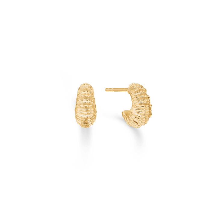 Studio Z Seashell Secrets vergoldete Ohrringe klein, sichtbar in Gold mit strukturierter Oberfläche. Modell 7210906-1