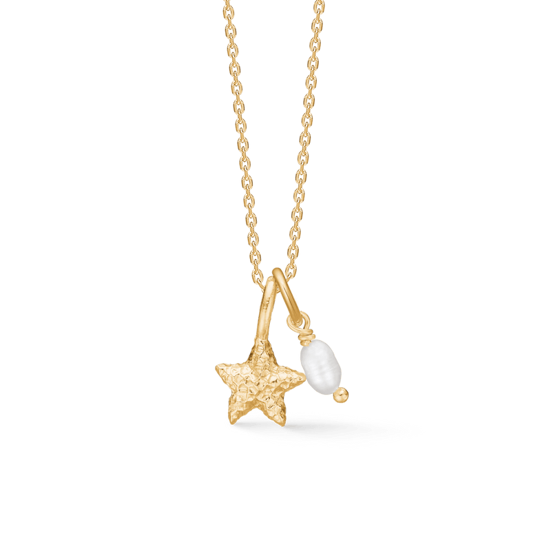 Studio Z Starfish Lustre Forgyldt Halskæde m. Søstjerne Vedhæng - Halskæde - 7223903