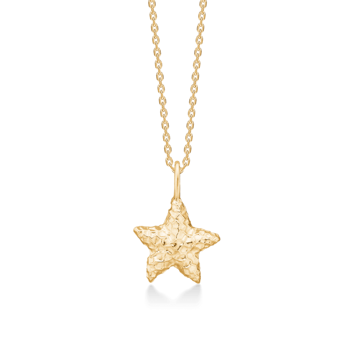 studio-z-starfish-luster-gold-lated-starfish-necklace zeigt Halskette mit vergoldetem Seestern-Anhänger. Modell 7220903-1.