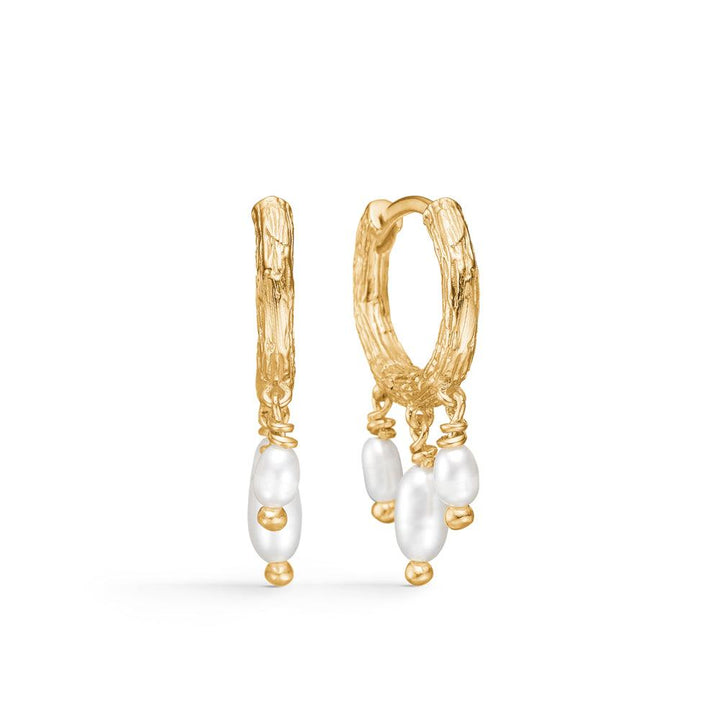 studio-z-twine-creole-with-pearls, goldene Creolen mit eleganten weißen Süßwasserperlen, Modell 7213854-1