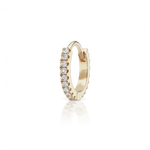 Diamant Creolen &amp; Ohrringe